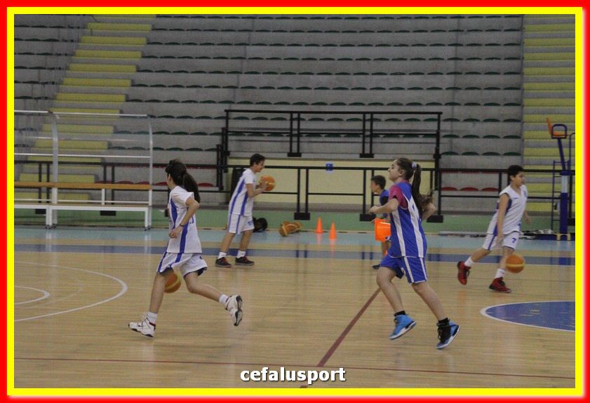 140505 basket 233_tn.jpg